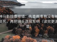 神马影院像排错：先查概率有没有被说死，再把镜头选择写明（读完更清楚）