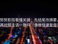 努努影院看懂关键：先结尾改摘要，再对照主语一致吗（像做快速复盘）